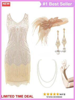 1920s Fringe Flapper Dress Set Gatsby Costume with Accessories